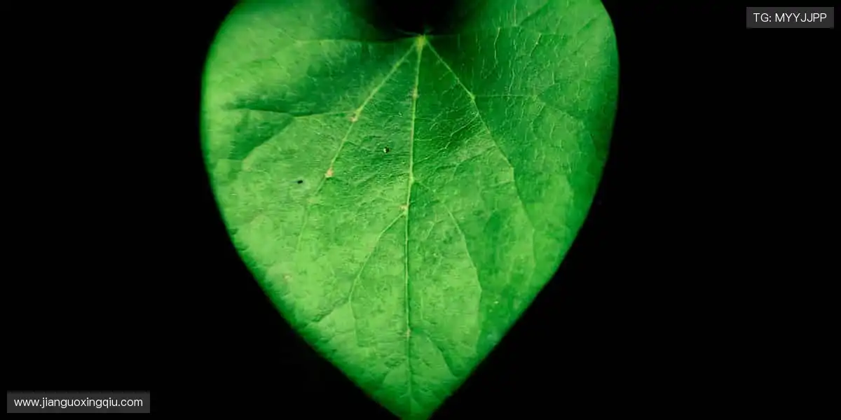 热血直播，永不间断！🔥